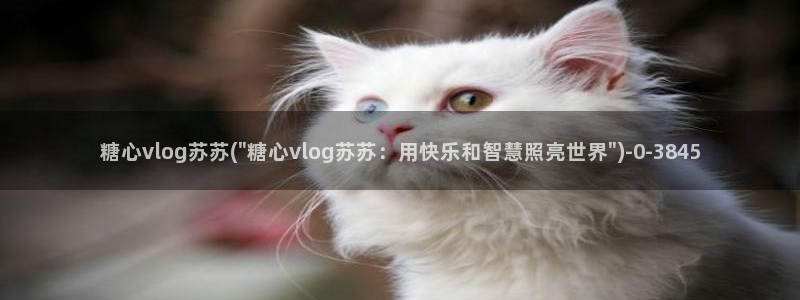 糖心vlog柚子猫女仆