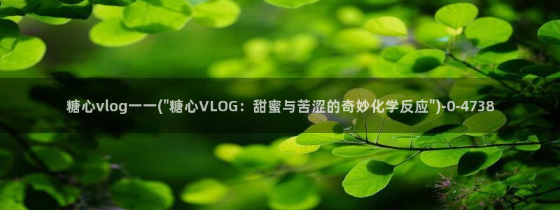 糖心vlog司雨照片