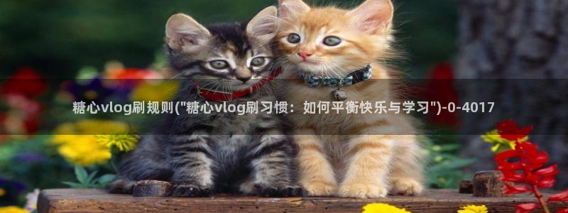 糖心vlog视频柚子猫