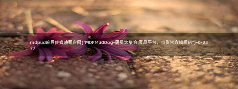 麻豆视频 官方：mdpud麻豆传媒映画官网(\