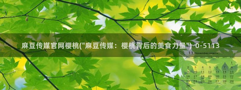 麻豆 官方入口：麻豆传媒官网樱桃(\
