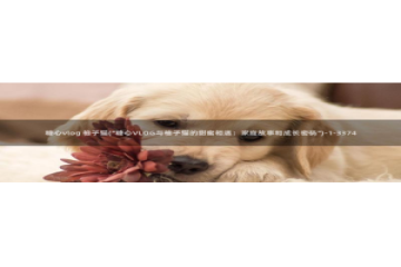 糖心vlog全网搜索：糖心vlog 柚子猫(\