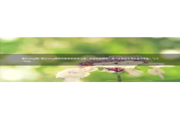 糖心vlog 糖心传媒：糖心vlog网(\