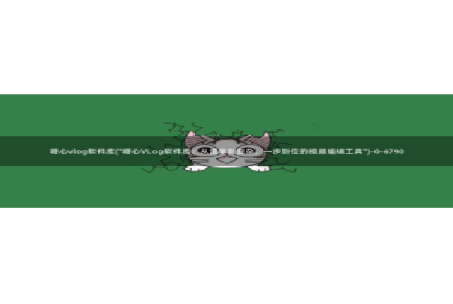 糖心vlog系列28：糖心vlog软件库(\