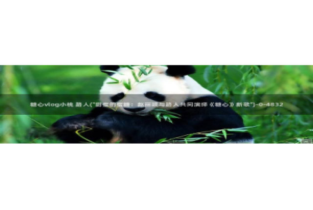 糖心vlog柚子在线：糖心vlog小桃 路人(\