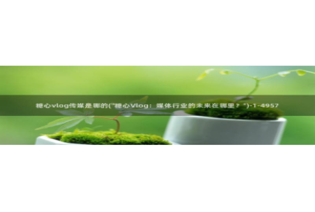 糖心vlog以前版本：糖心vlog传媒是哪的(\