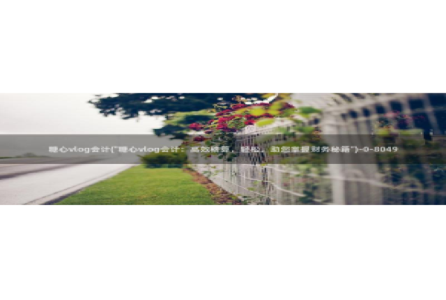 糖心vlog精品：糖心vlog会计(\