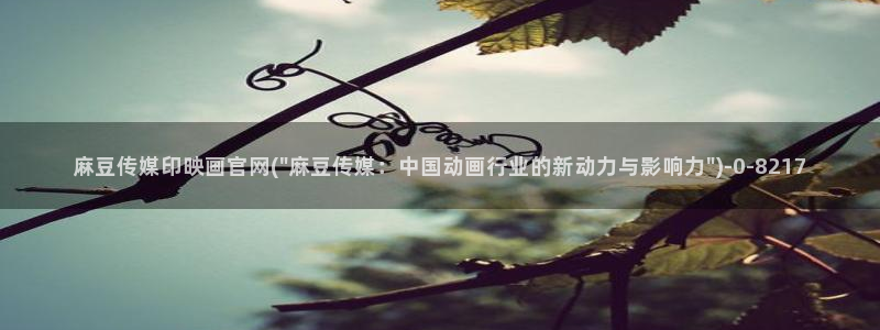 麻豆 官方在线看