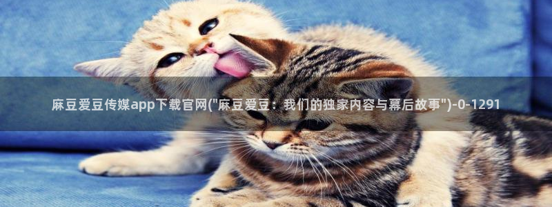 麻豆 高清最新：麻豆爱豆传媒app下载官网(\