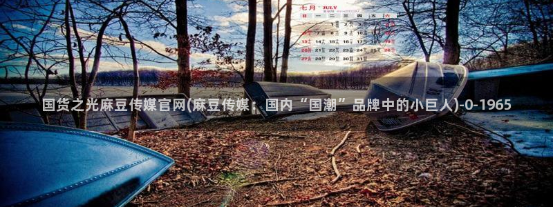 麻豆视频图集入口