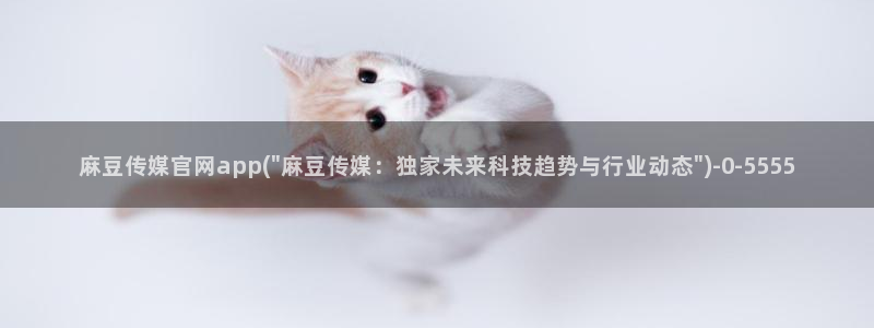 麻豆视频更新专区：麻豆传媒官网app(\
