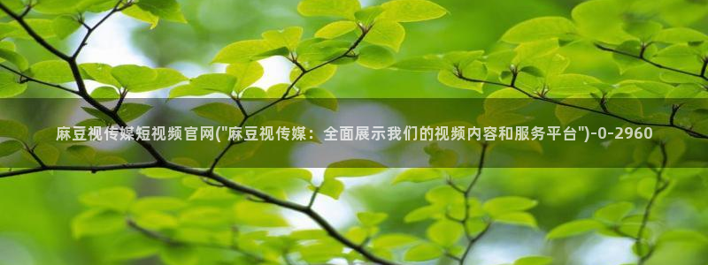 麻豆视频 更新整理：麻豆视传媒短视频官网(\