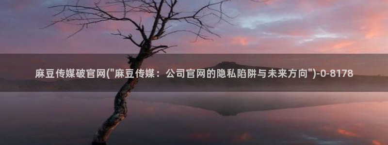 麻豆 高清：麻豆传媒破官网(\
