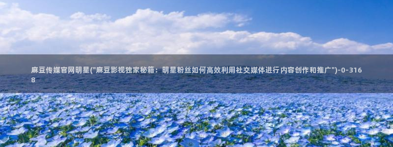 麻豆 官方入口：麻豆传媒官网明星(\