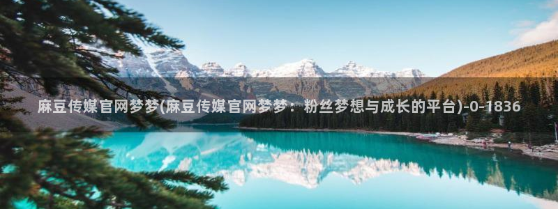 麻豆视频 在线看页面