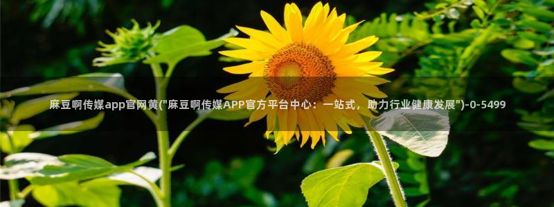 麻豆视频官方：麻豆啊传媒app官网黄(\