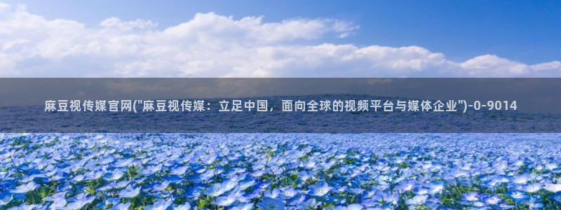 麻豆视频 站高清