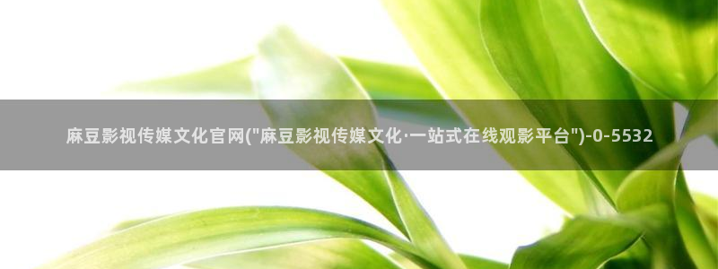 麻豆视频 图集整理