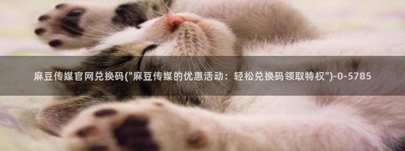 麻豆视频 入口完整版