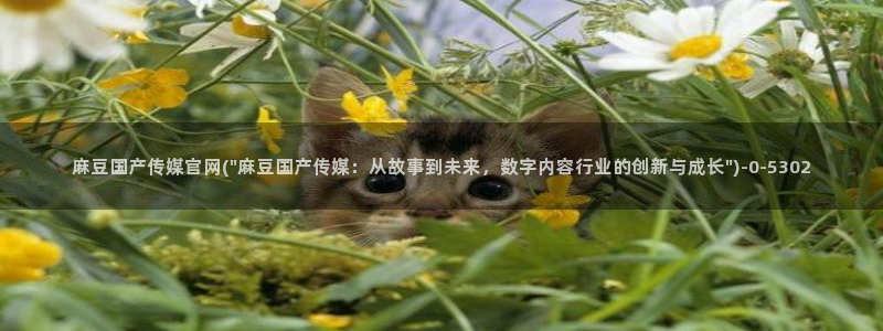 麻豆视频短片合集：麻豆国产传媒官网(\