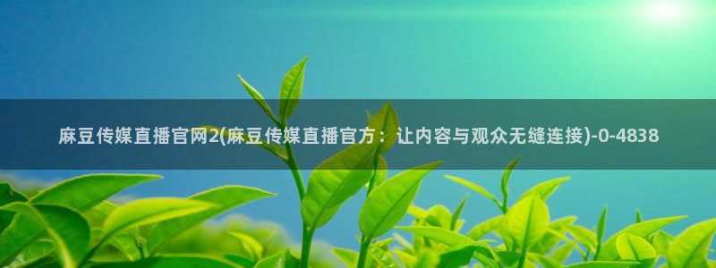 麻豆视频资源在线看