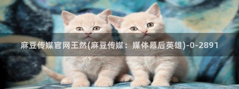 麻豆高清高清：麻豆传媒官网王然(麻豆传媒：媒体幕后英雄)