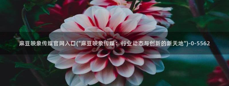 麻豆合集整理