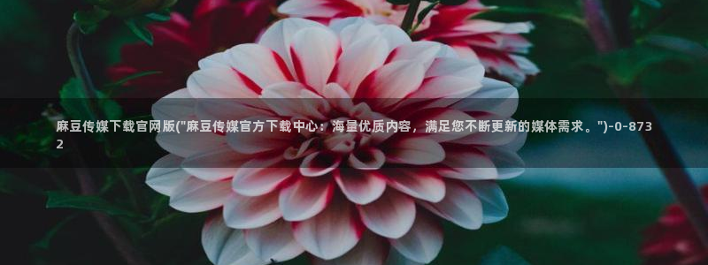 麻豆视频 下载整理：麻豆传媒下载官网版(\