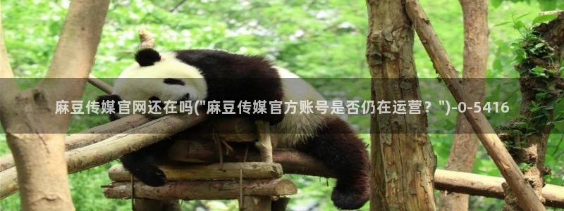 麻豆视频 内容导航