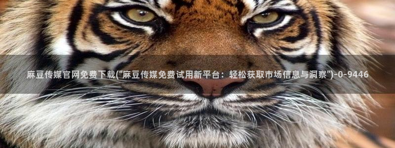麻豆视频高清整理：麻豆传媒官网免费下载(\